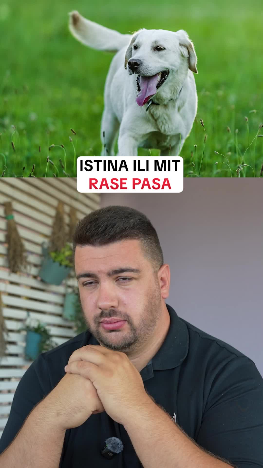 @superdog.akademija