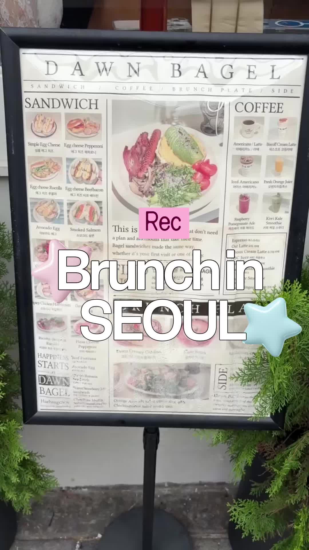@Seigfried
