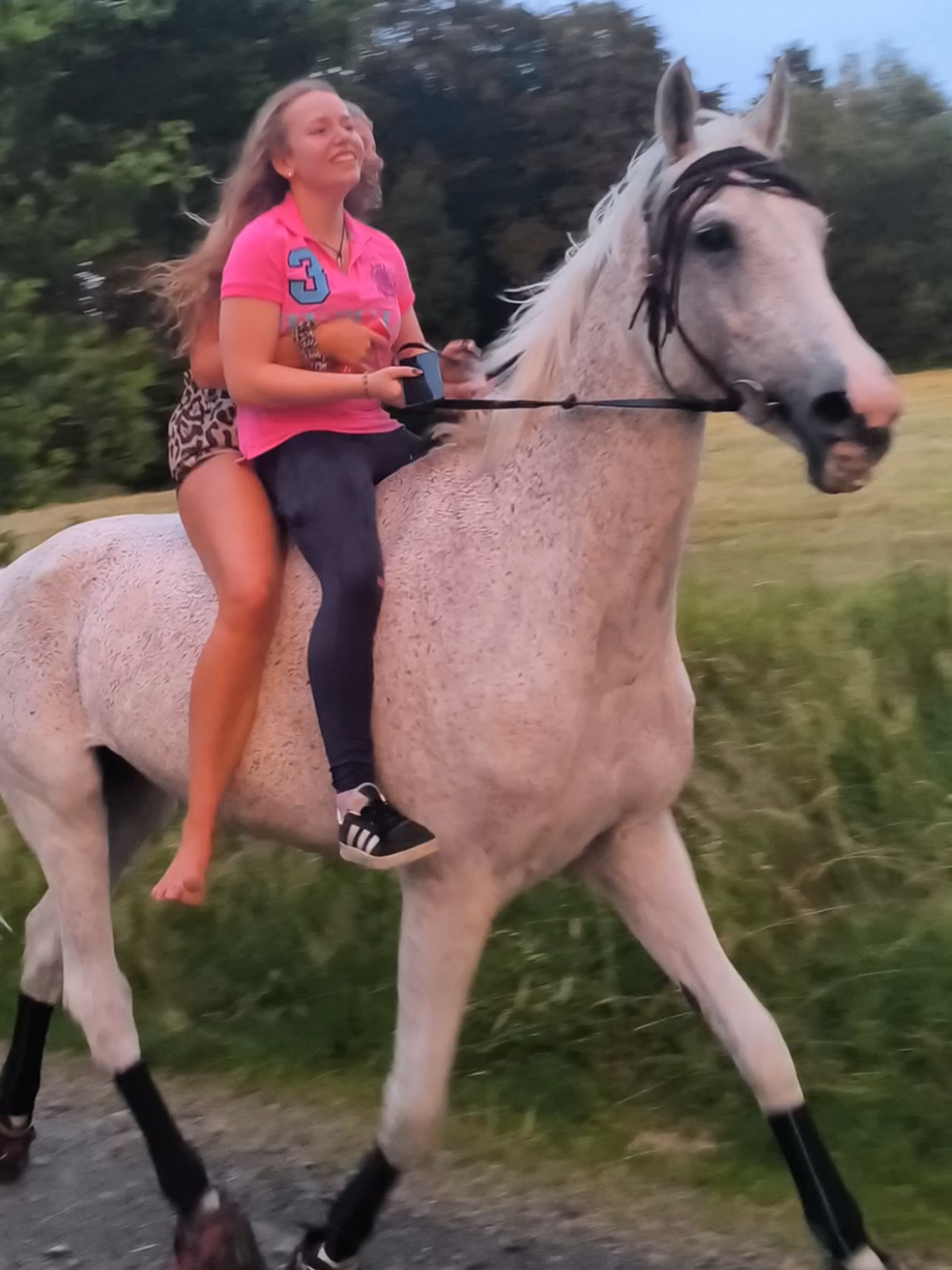 @Spring"Pony"Casha