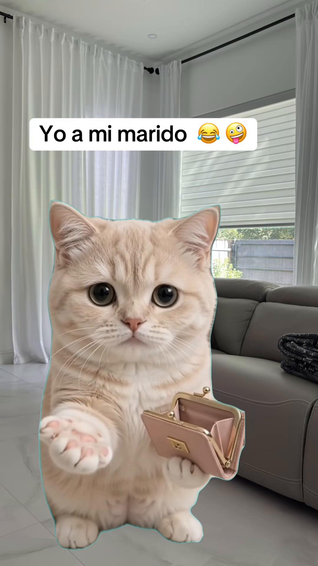 @Irreverente💯