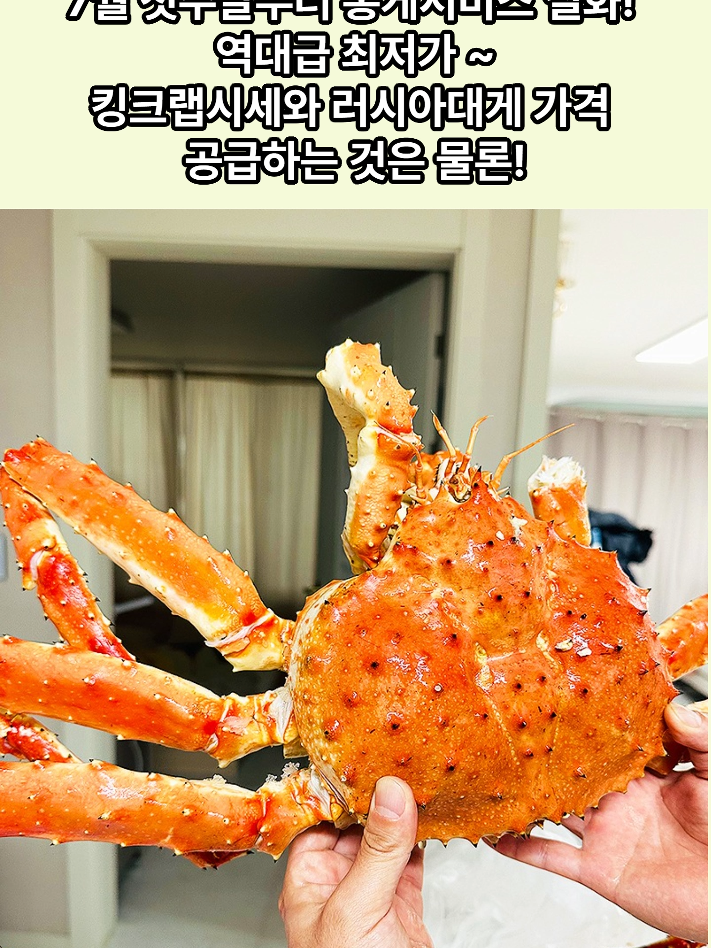 @킹크랩 대게 동해수산유통