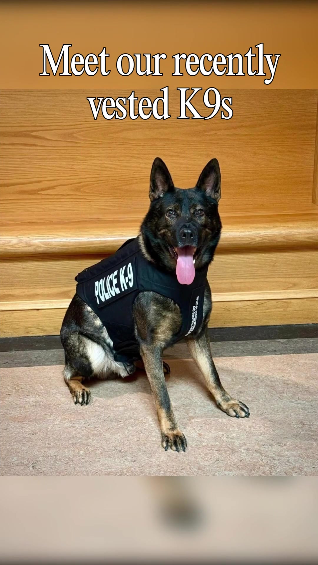 @Vested Interest in K9s, Inc.