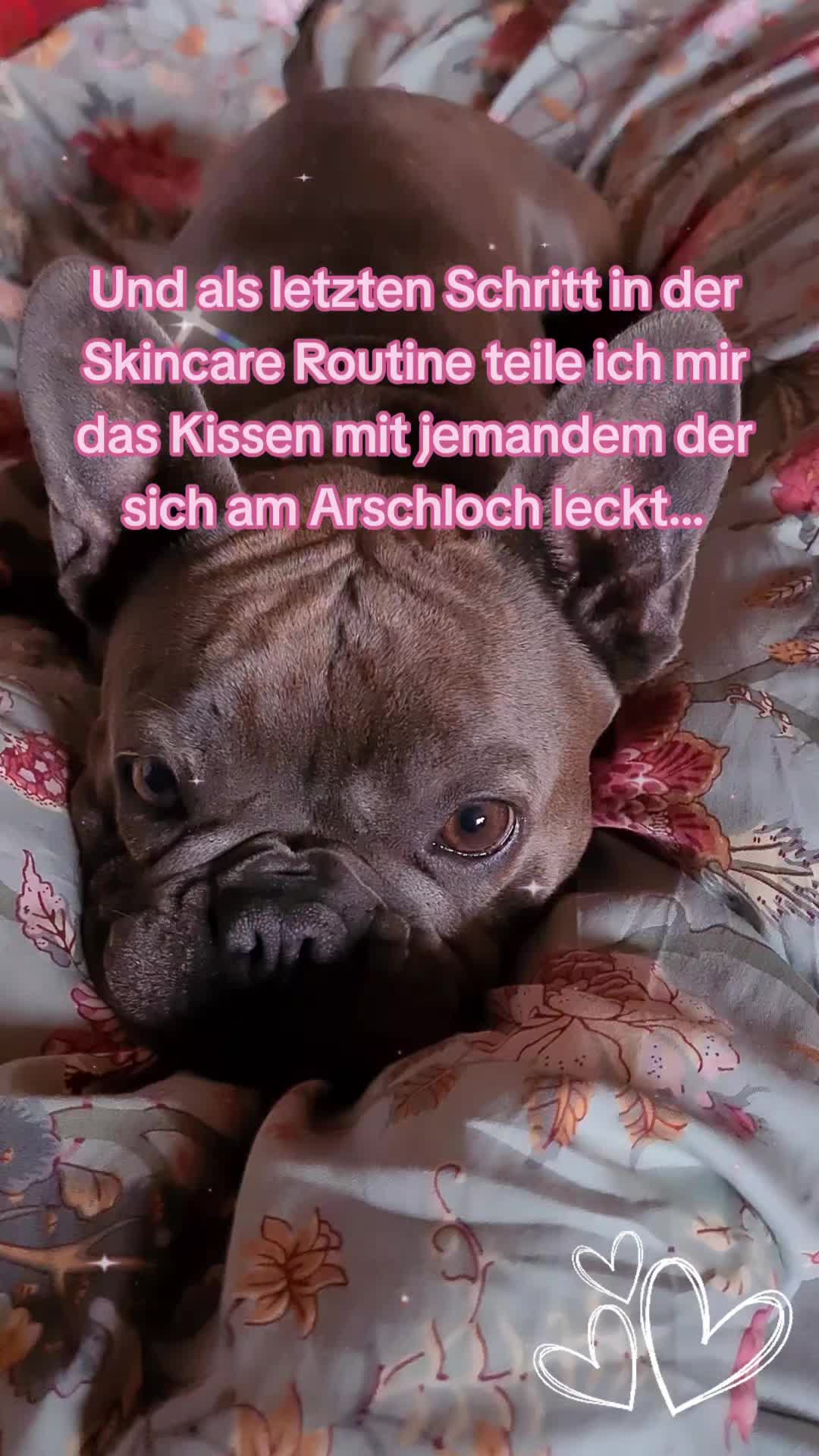 @FrenchieFrieda