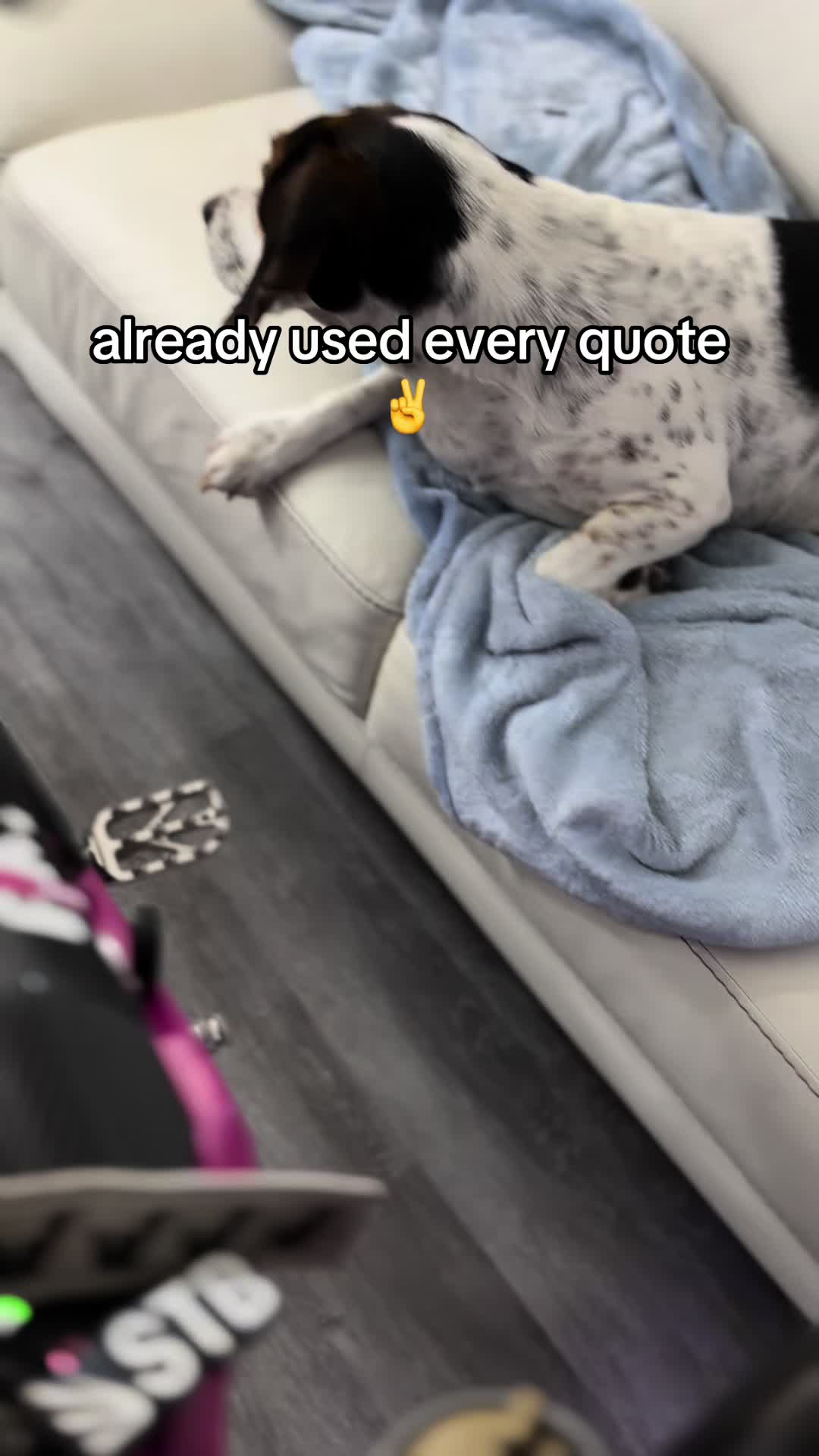 @erpenis
