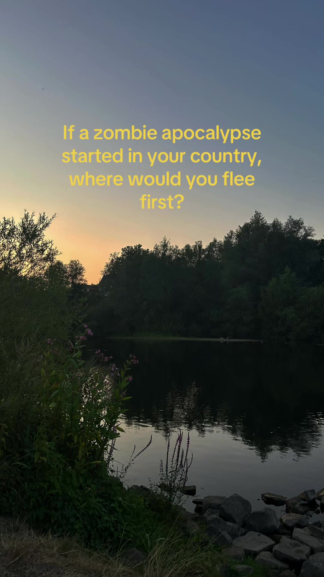@TwdHolic