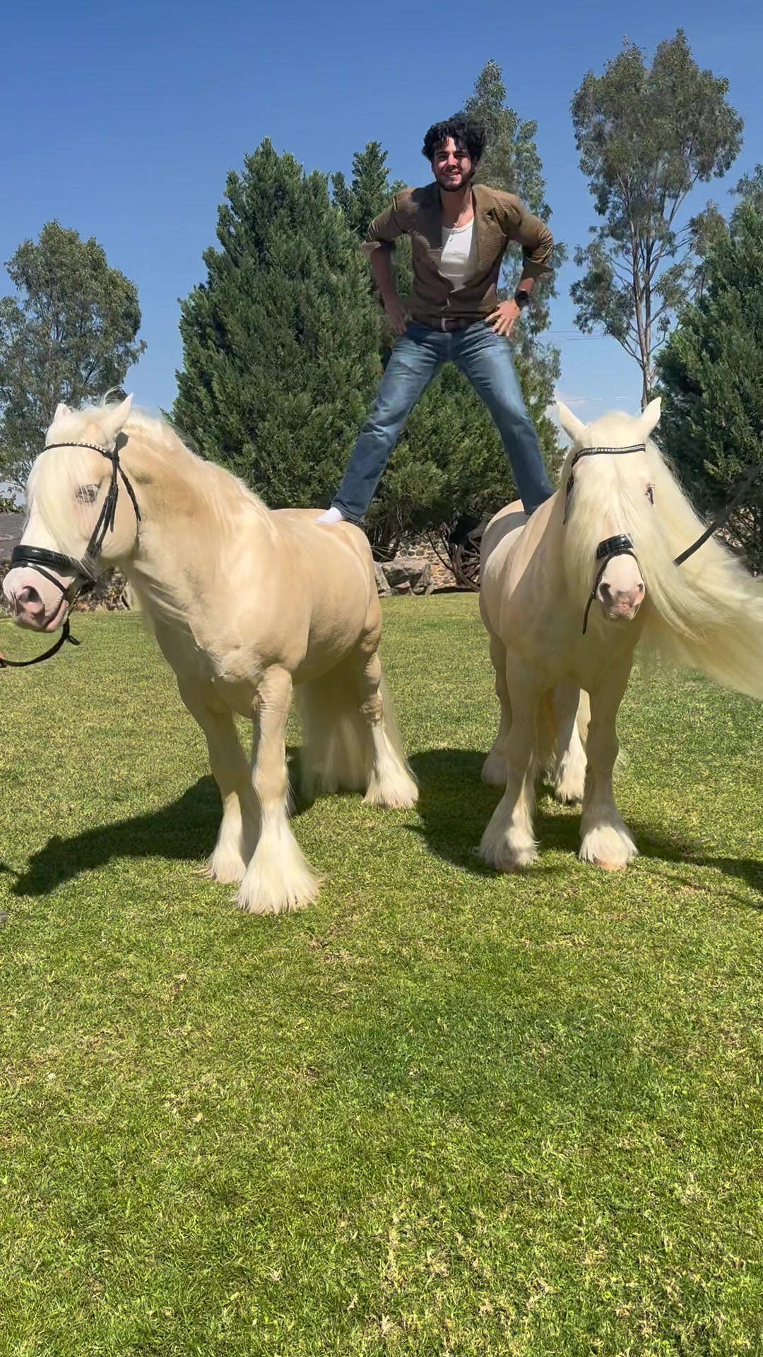 @Rancho el descanso GDL