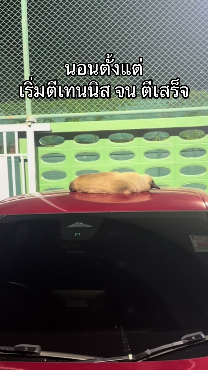 @Navaprut กนธ์