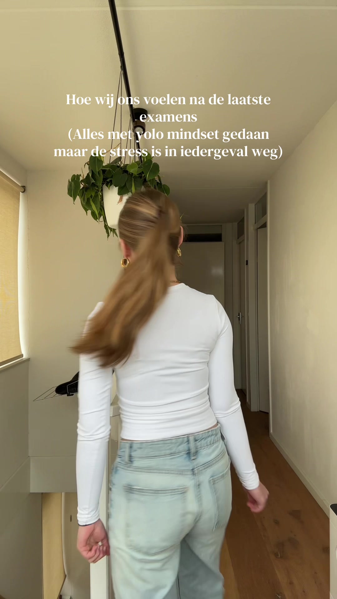 @isislinnemans