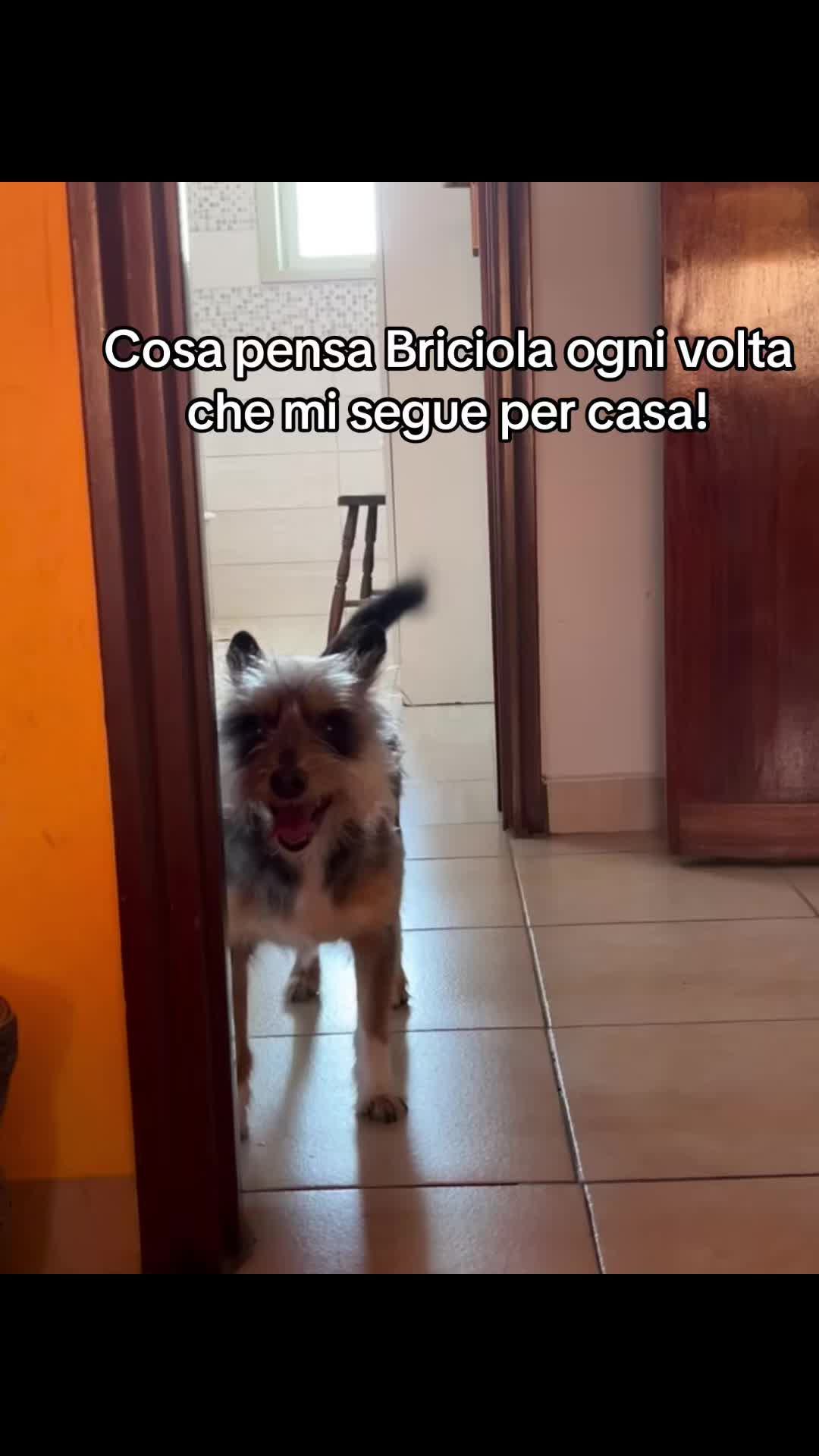 @Rosanna Fortuna🧿🪬