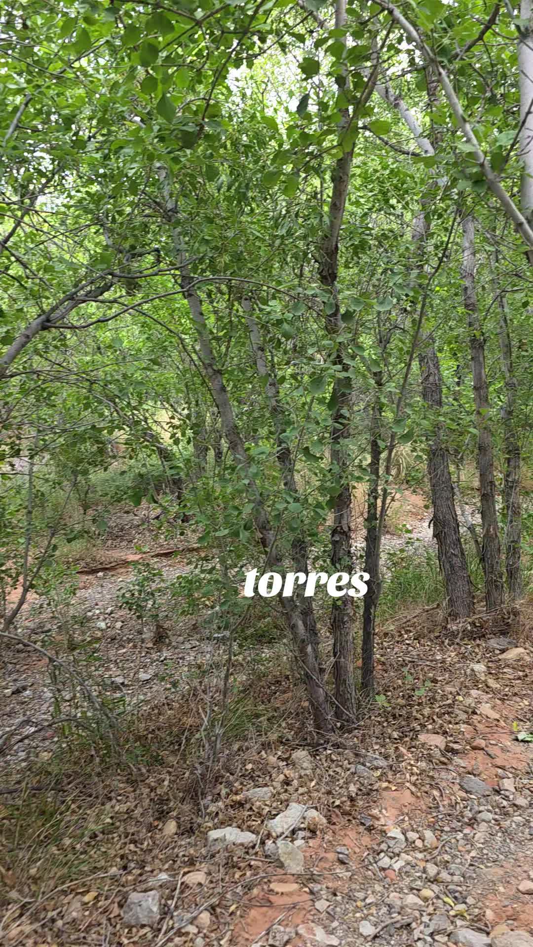 @Estela Torres