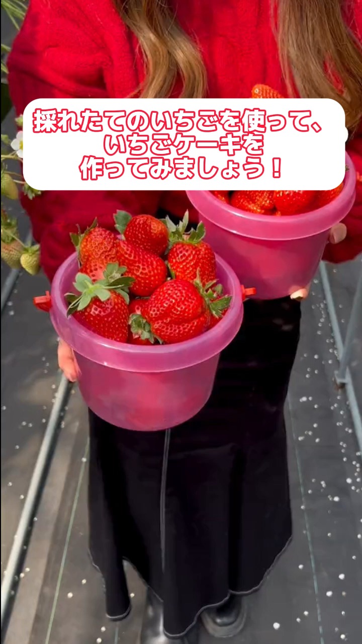 @なおの手帳