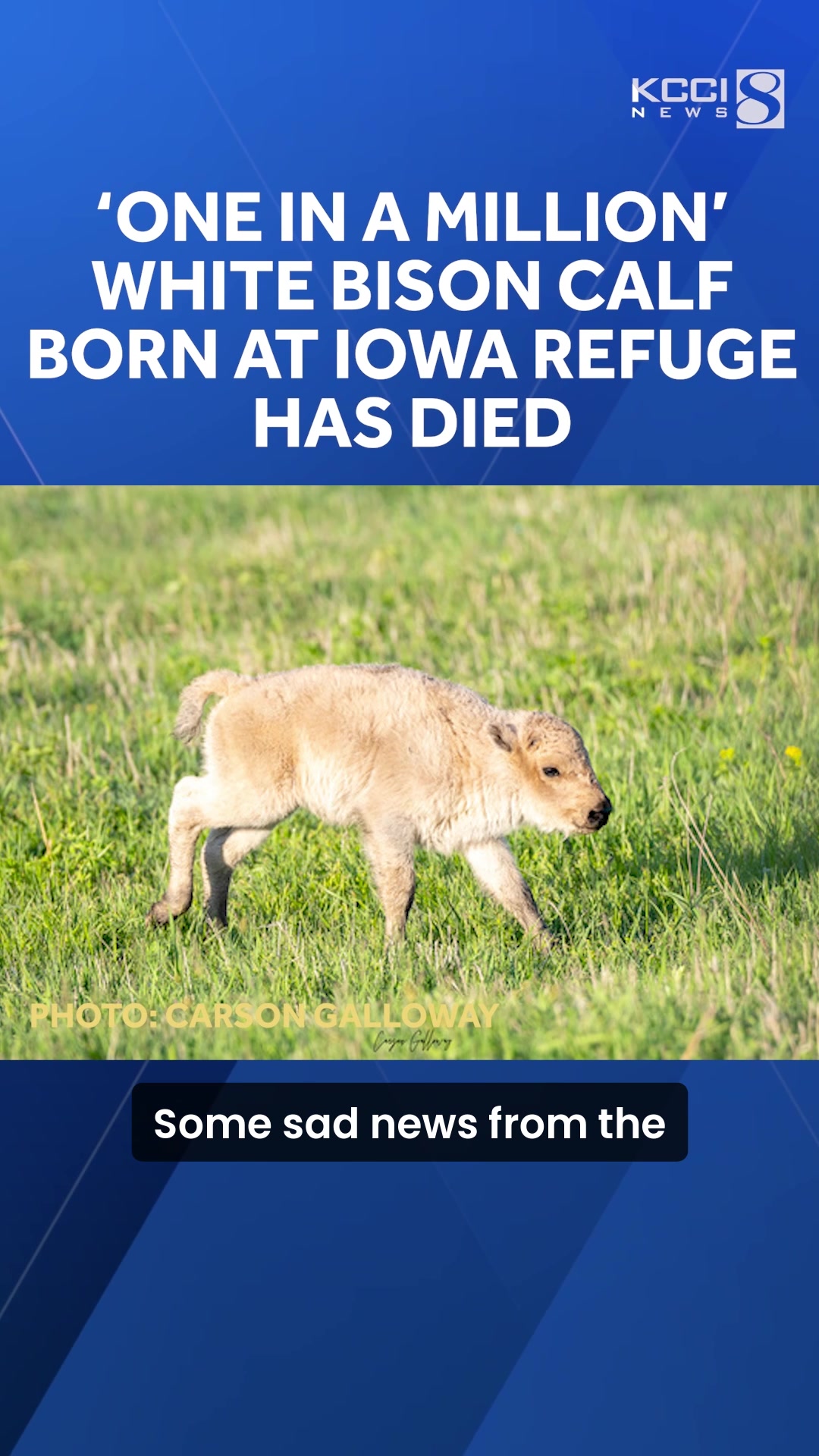 @KCCI News