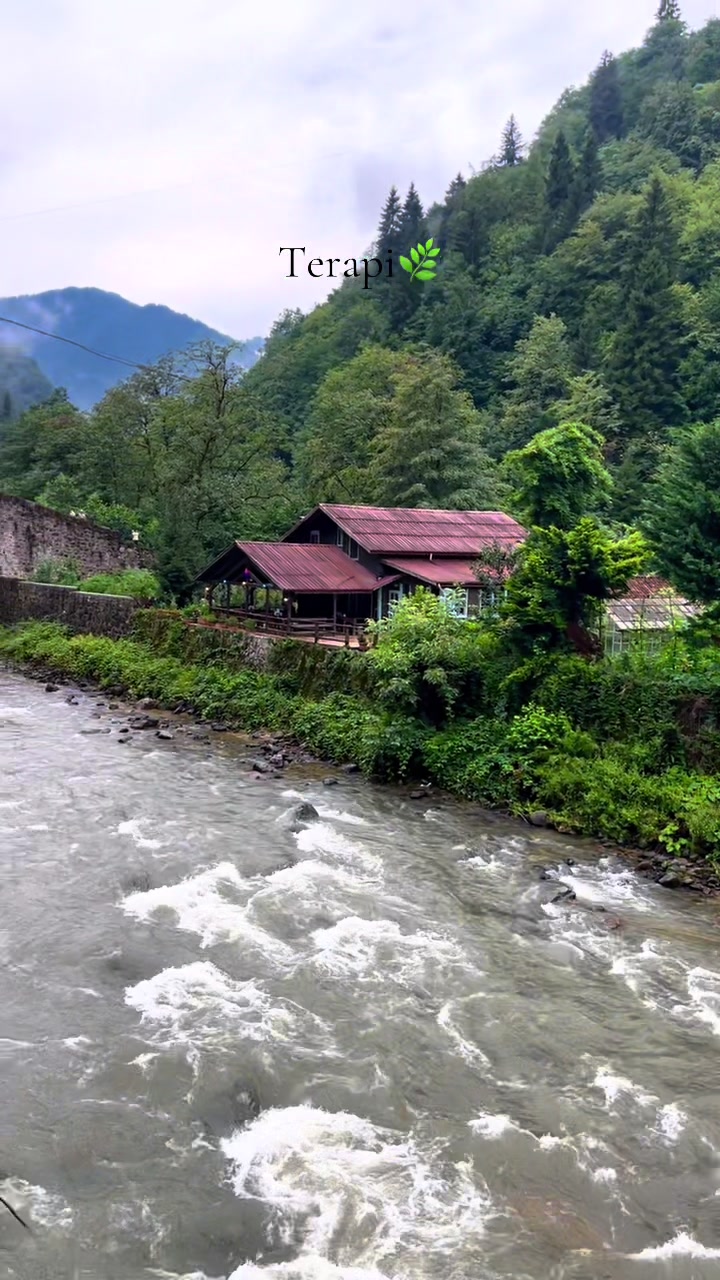 @betll63
