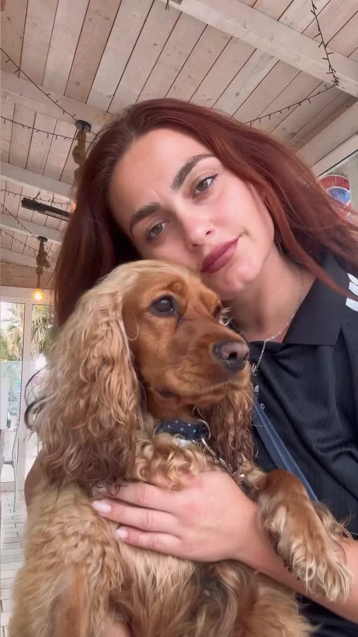 @🌸🐶Pamela Cocker Spaniel🐶🌸