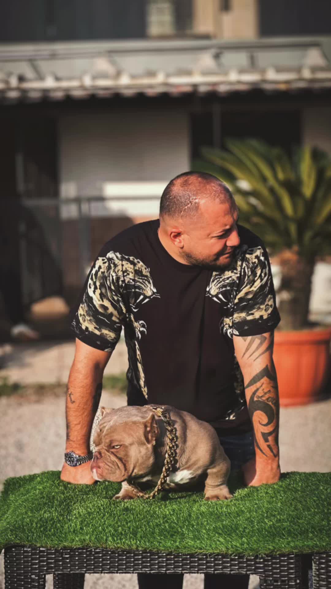 @gargoyle_1