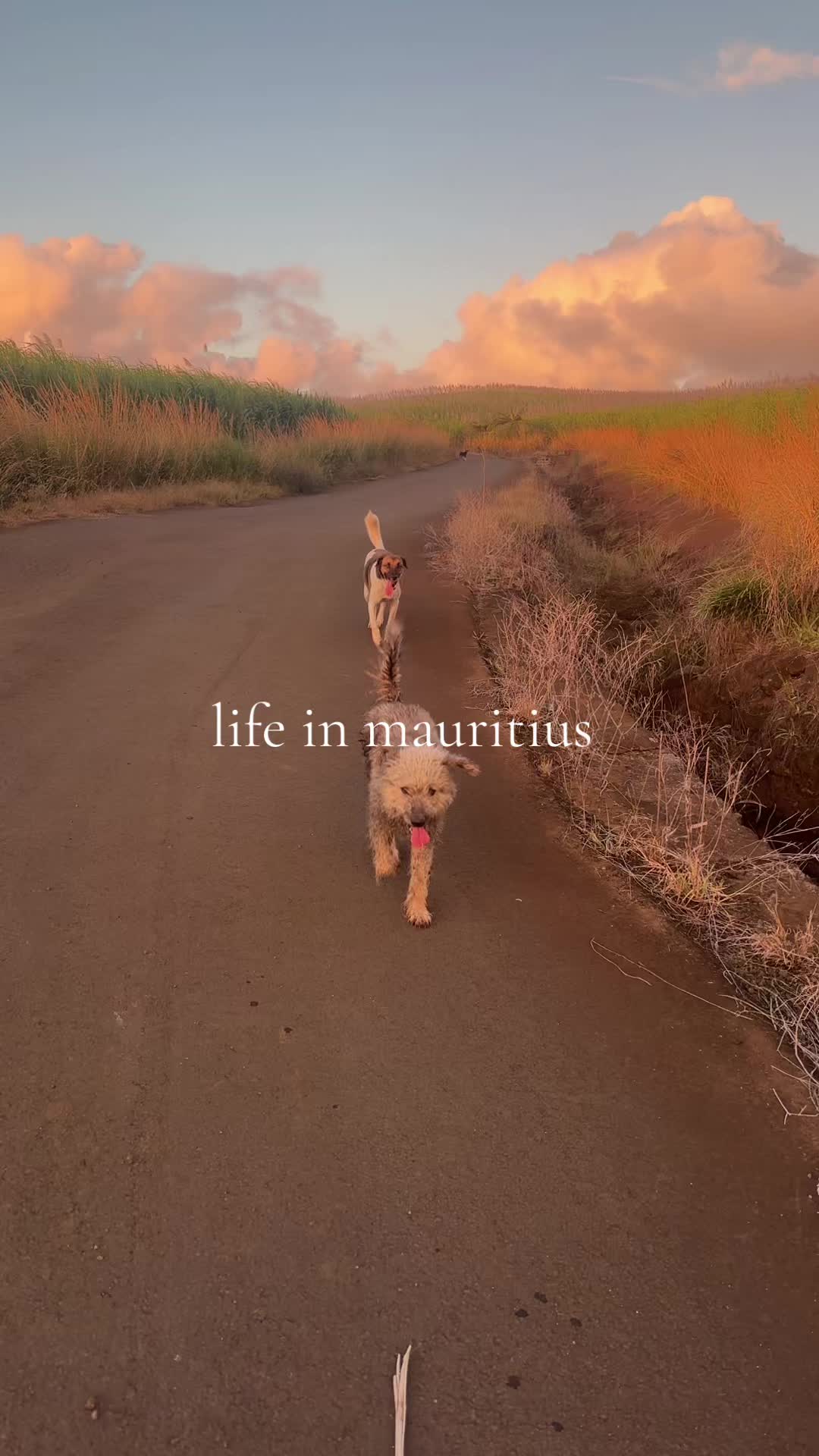 @nana ☮︎