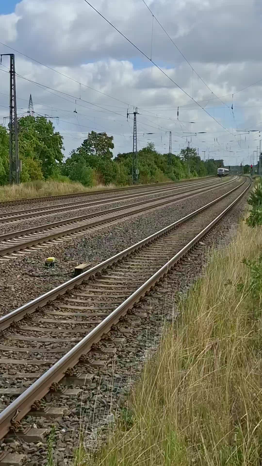 @Angeln und Z&uuml;ge 🇩🇪🚆🇩🇪🎣