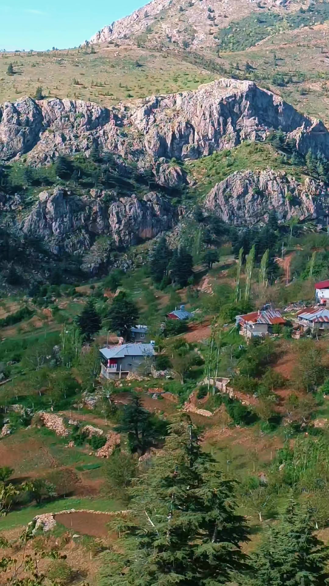 @DAĞCI.46