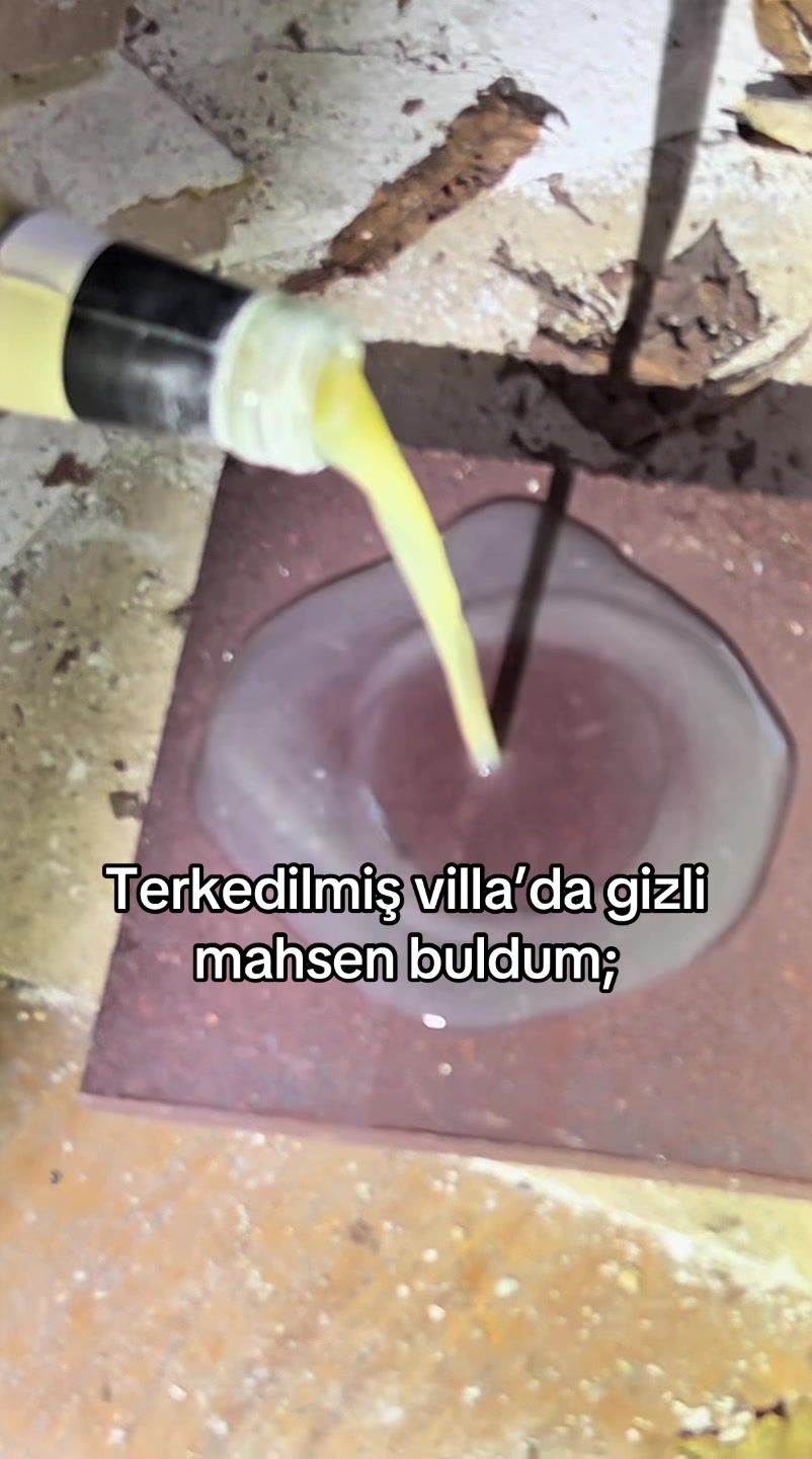@evooo.tv