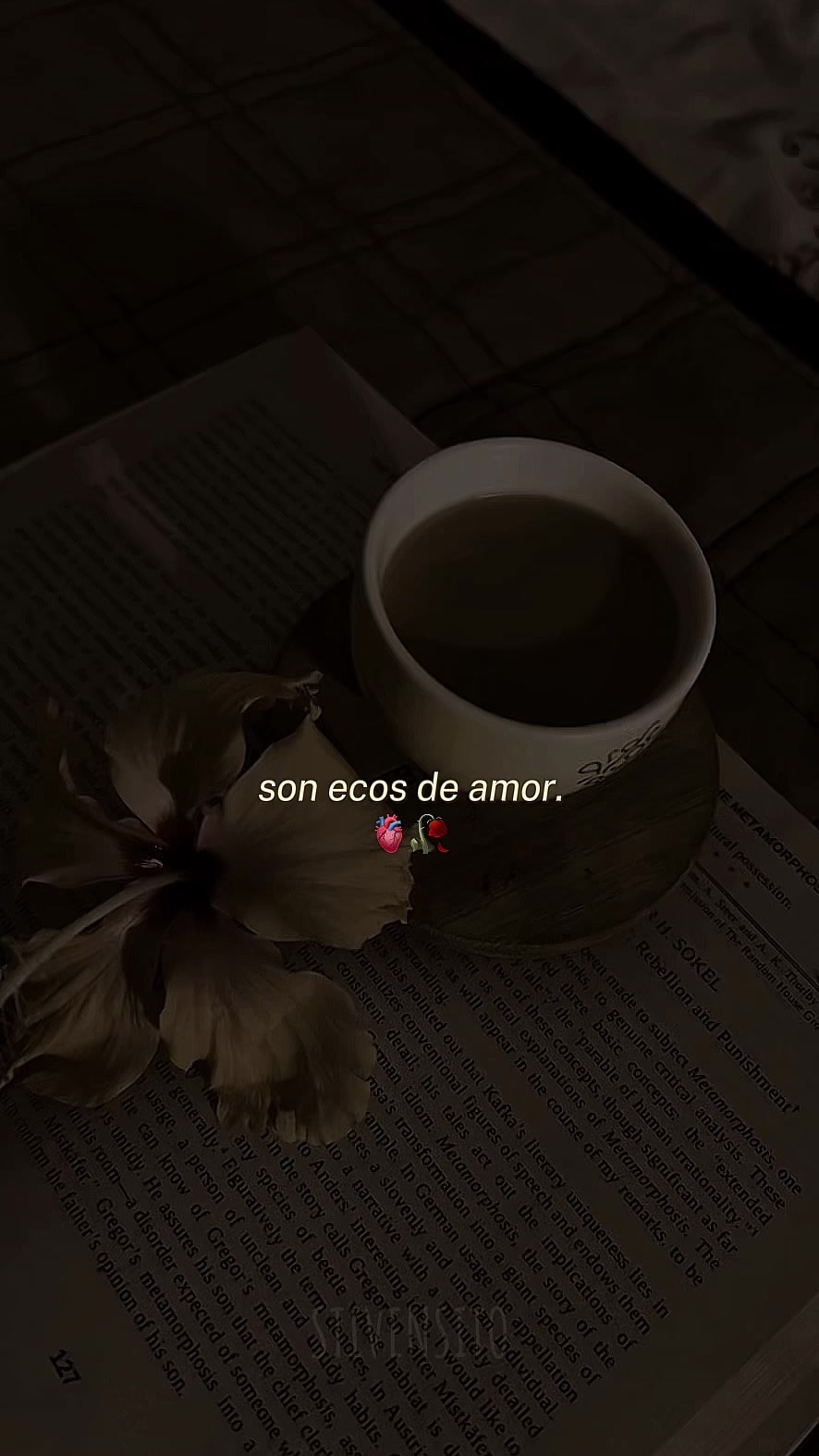 @stiven | lyrics