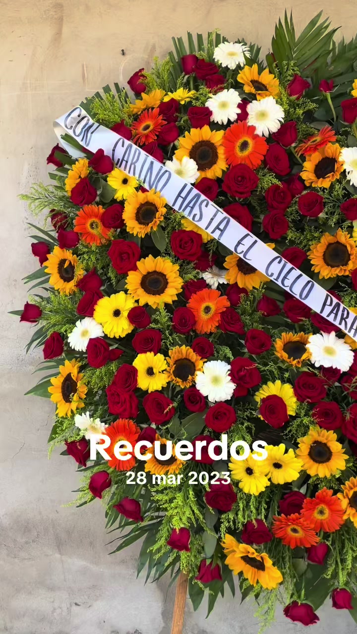 @🦋DianaMV🦋