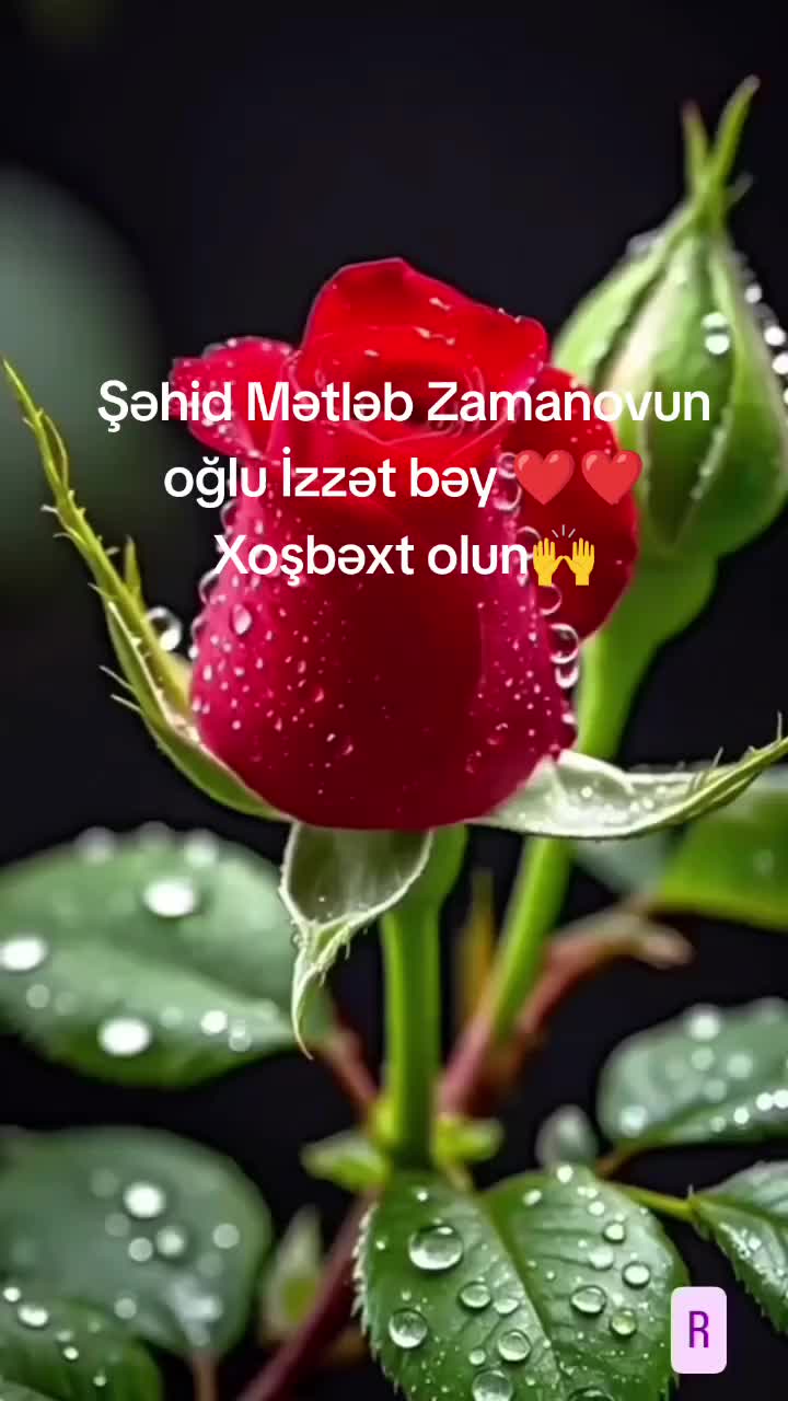 @CAN SEHİDİM