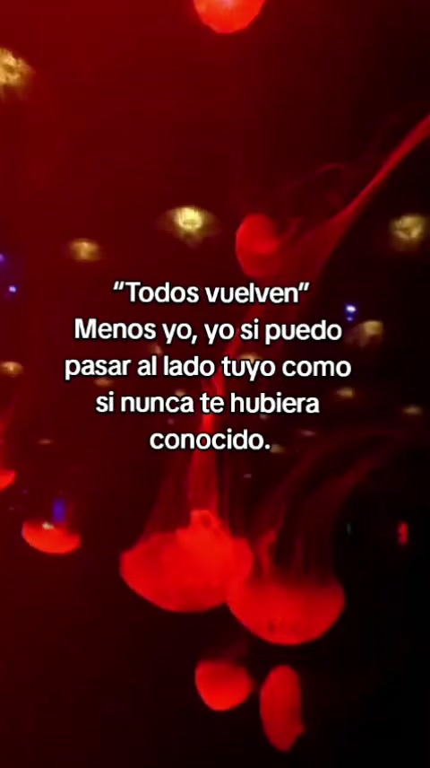 @Jocelyn Sauria Rex 🐦&zwj;🔥🦊🦖❤️