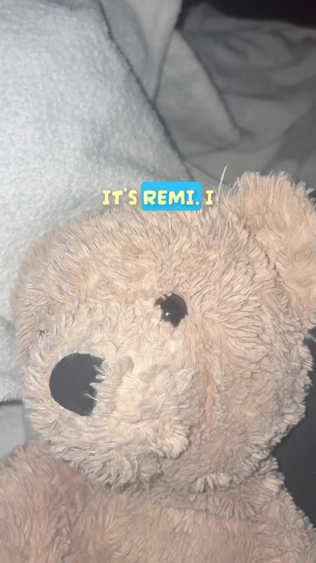 @remi 🐾
