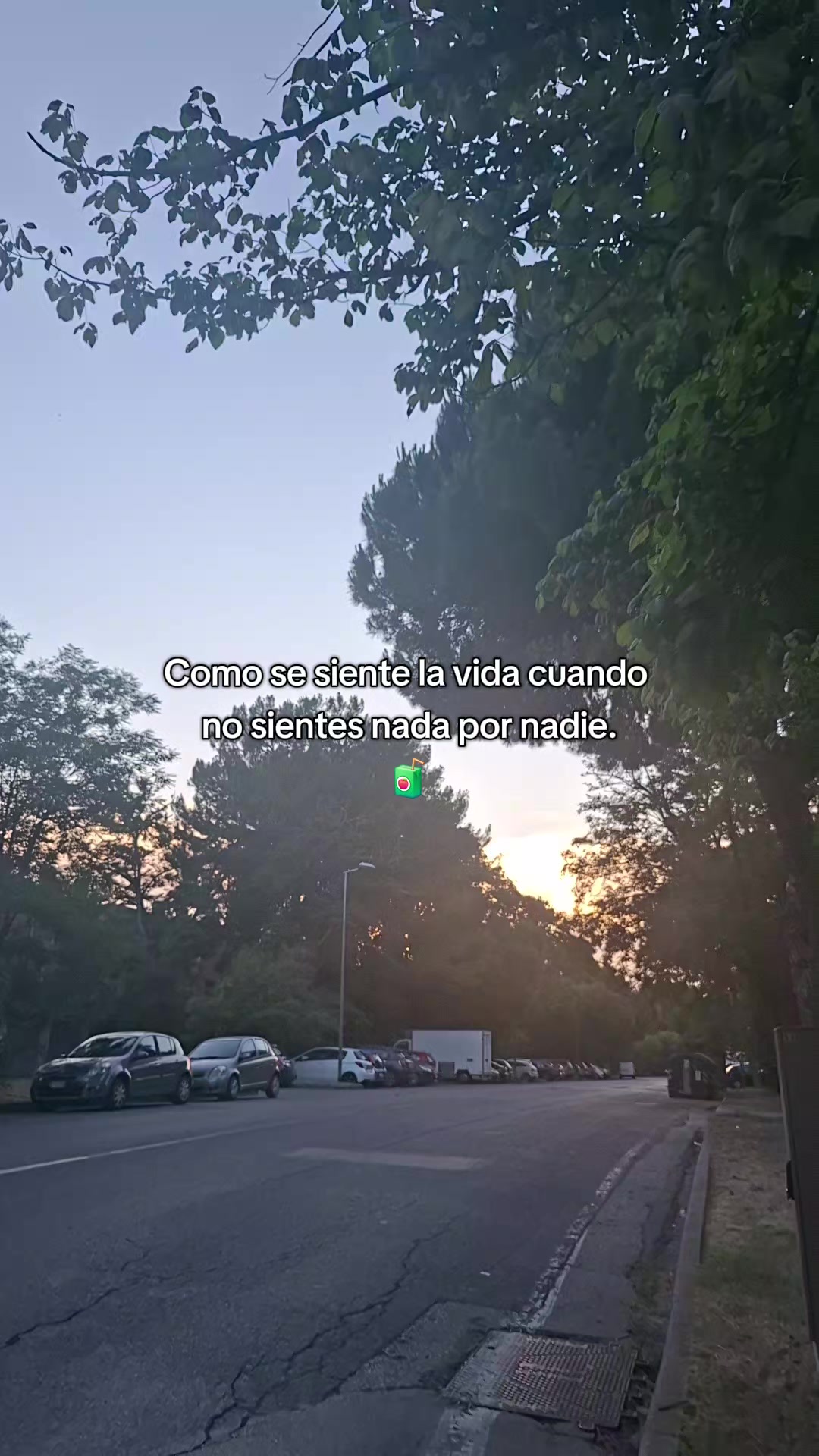 @🄼🄸🄺🅄 ✨💛