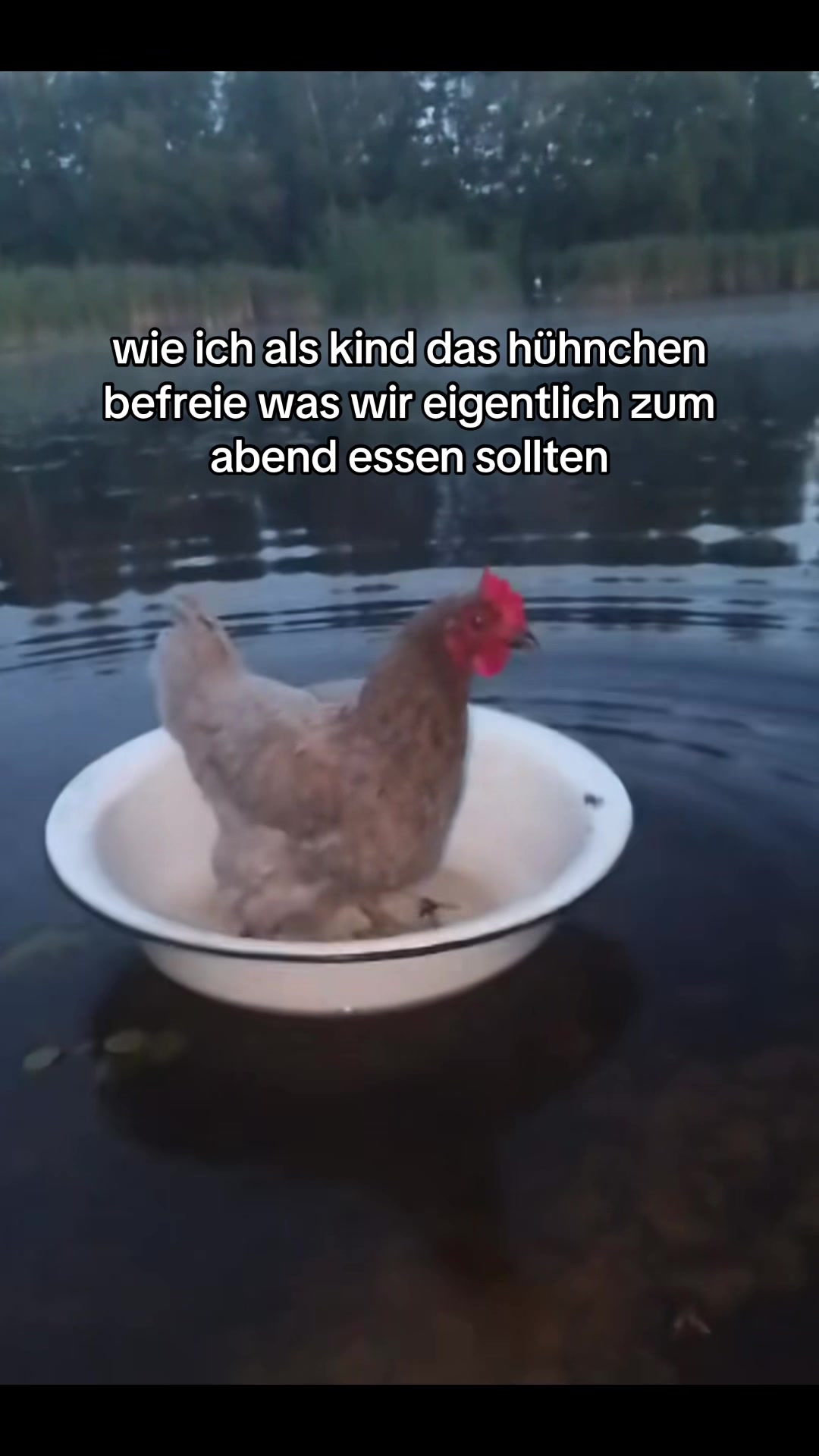 @yedewt