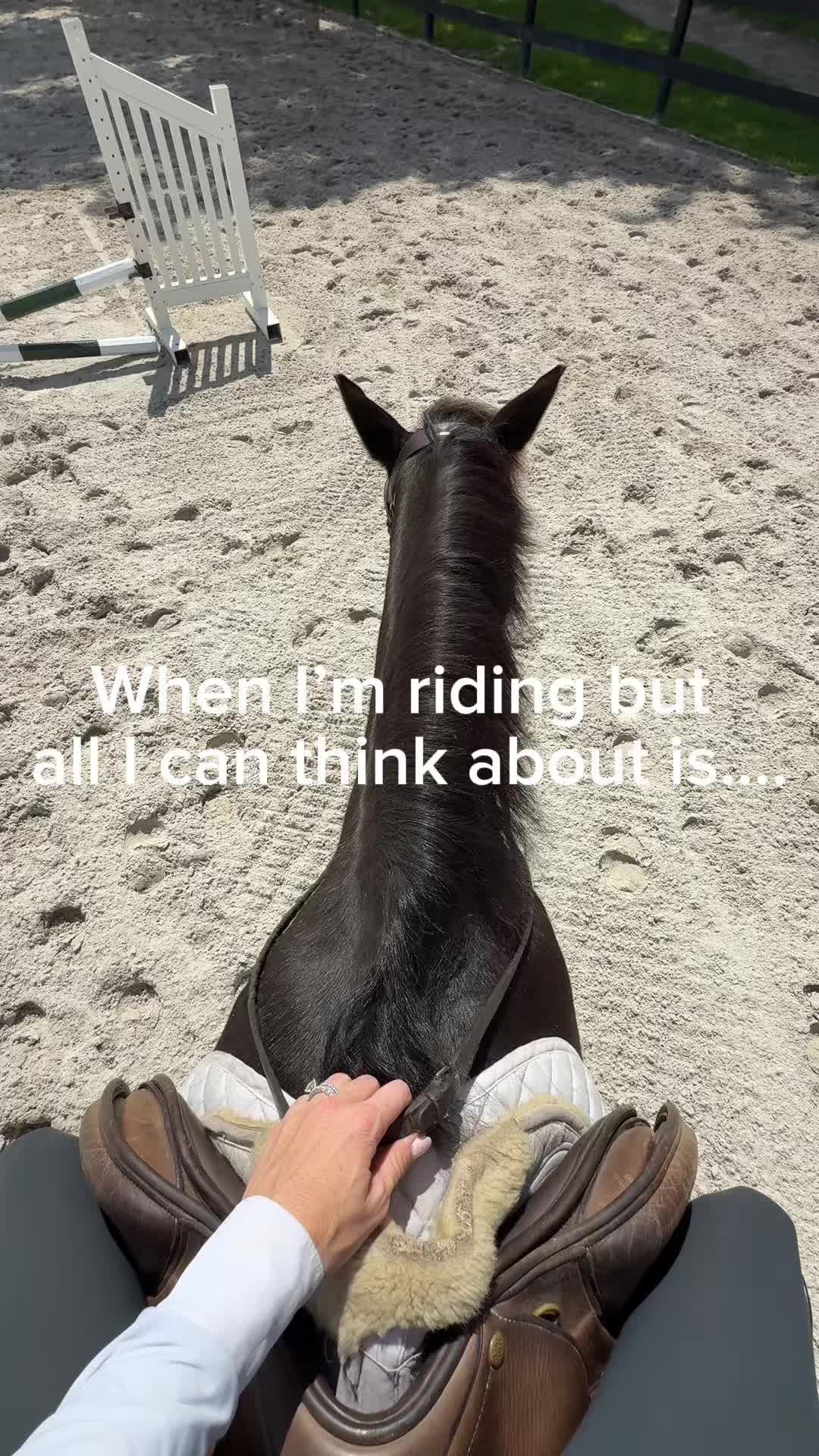 @Courses and Cocktails