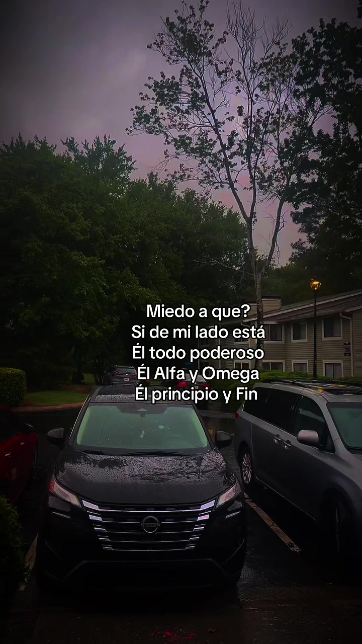 @abdy🦖