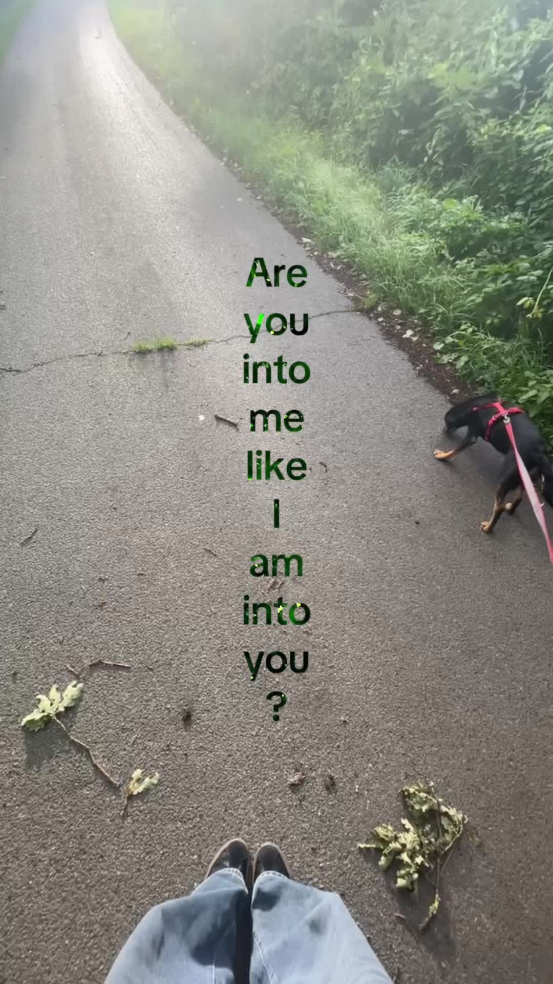 @4my