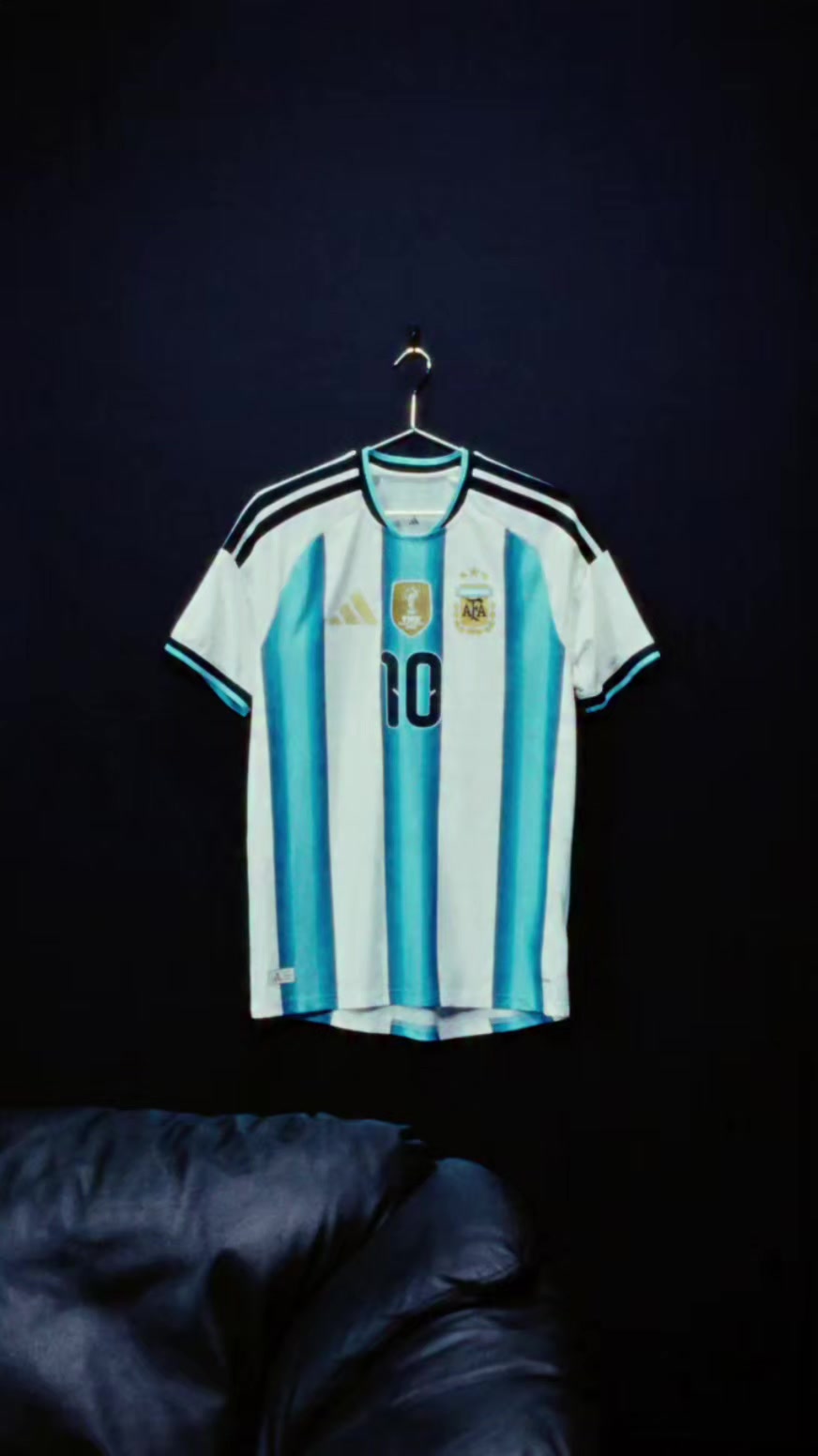 @Argentina's fans