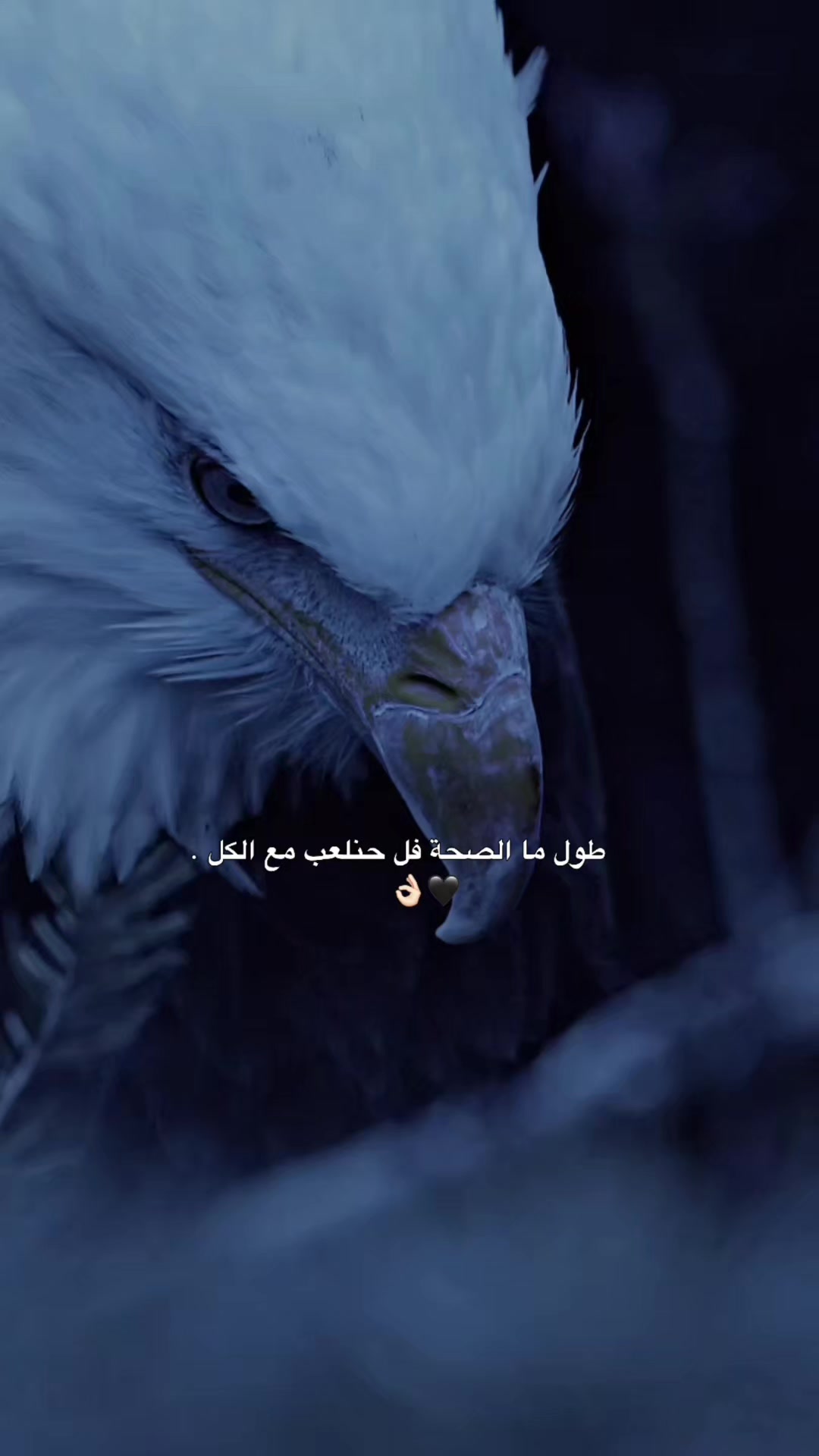 @🇫 🇦 🇷 🇪 🇸