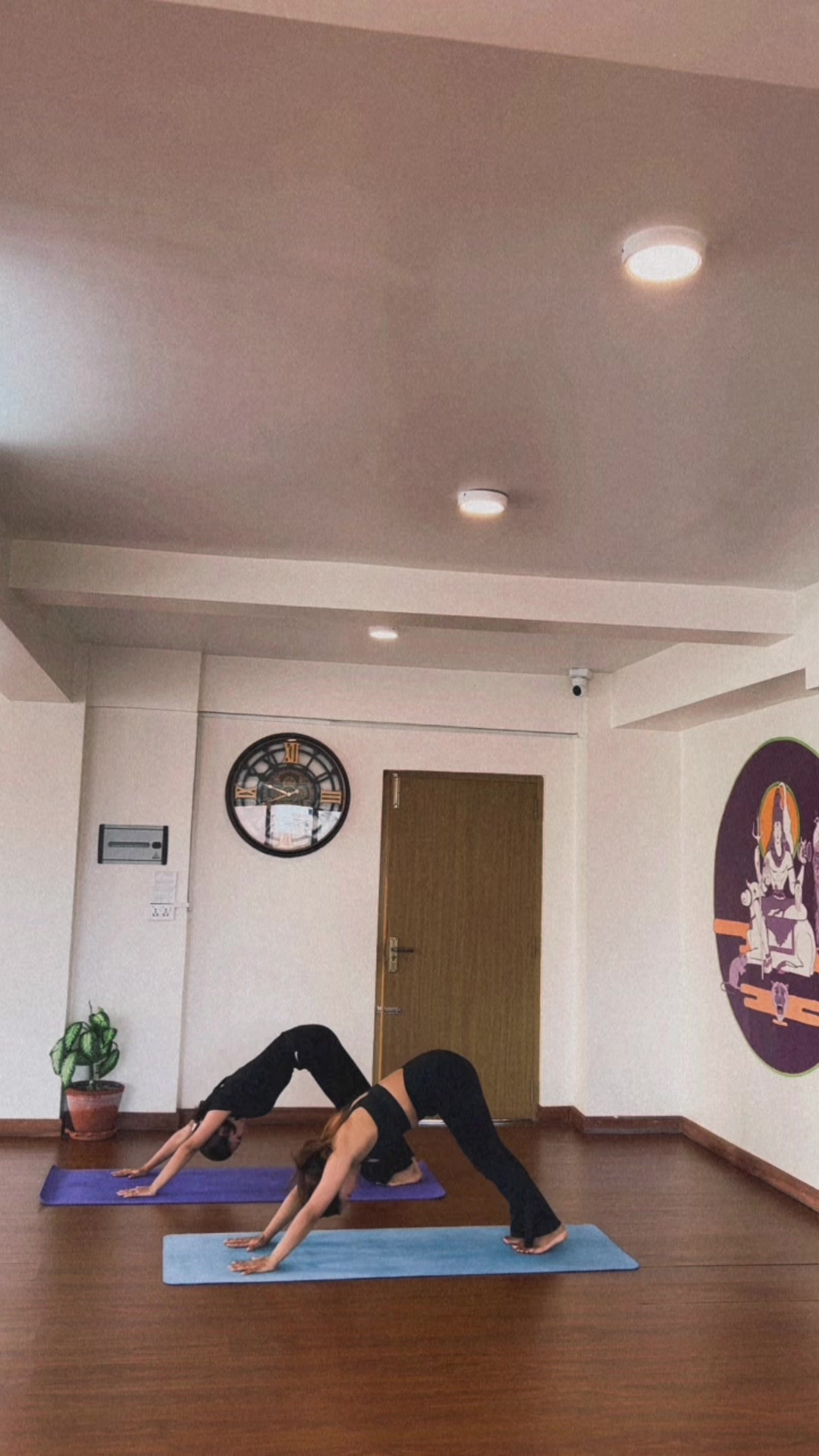 @PabiAura_🧘♀️🌟🌱