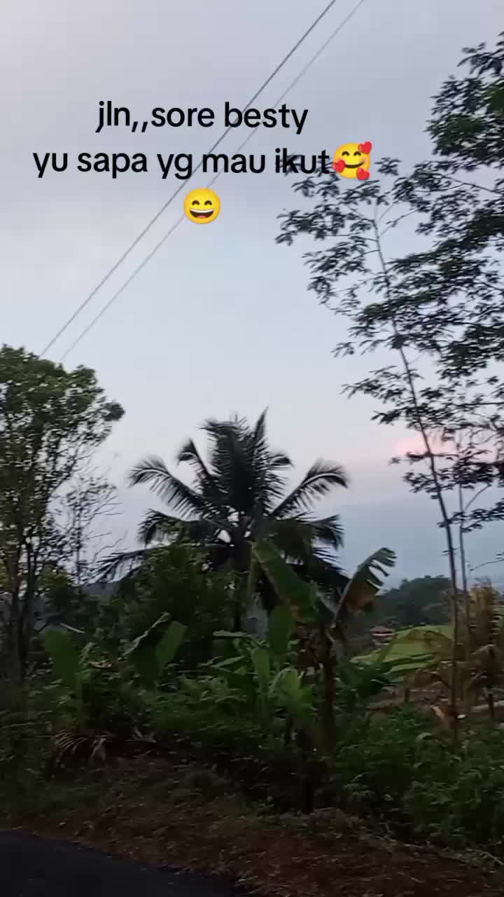 @Teh Mai