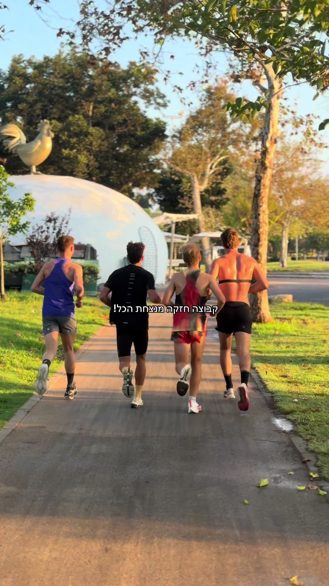 @talavidan_runner