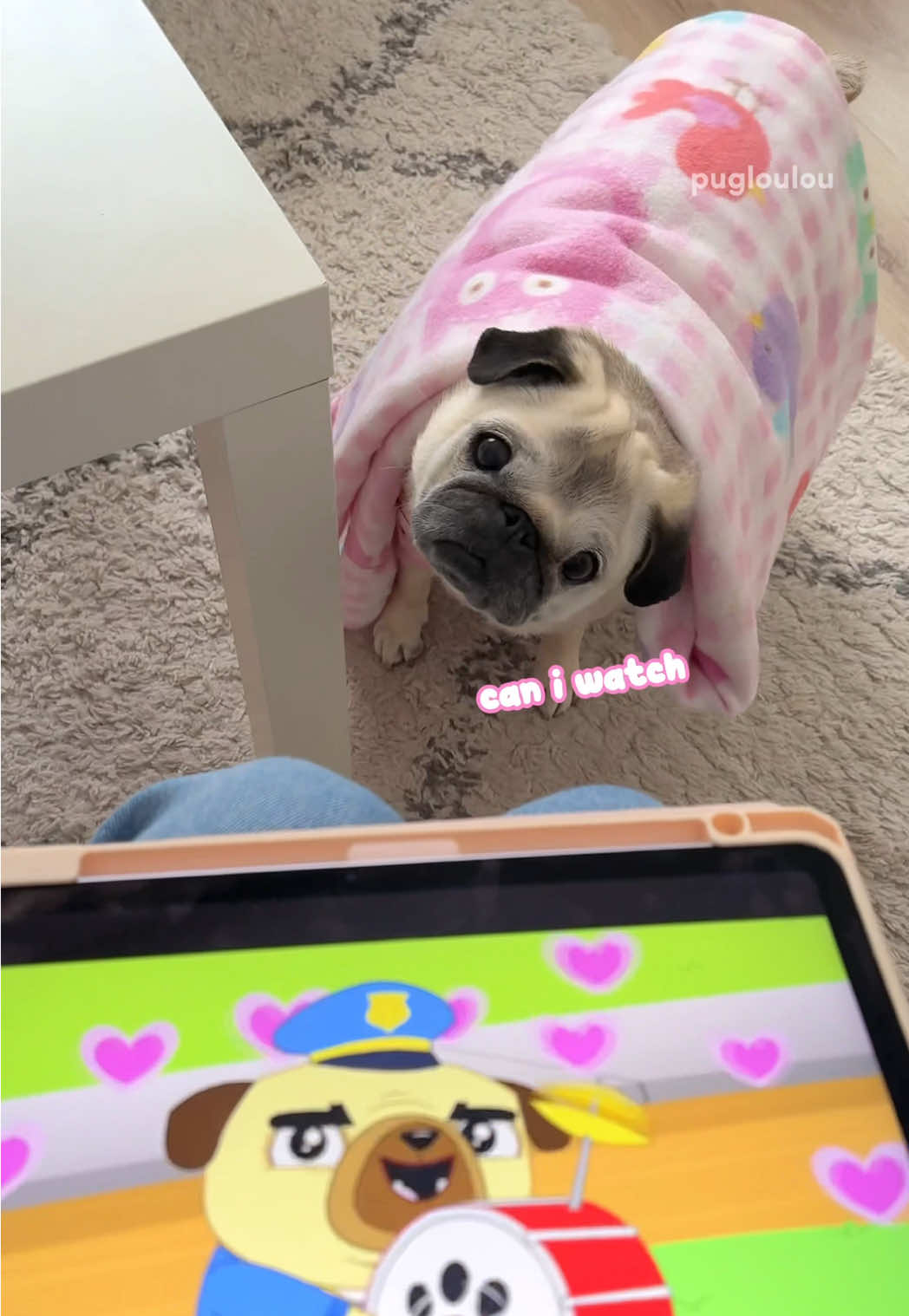 @Loulou the Pug