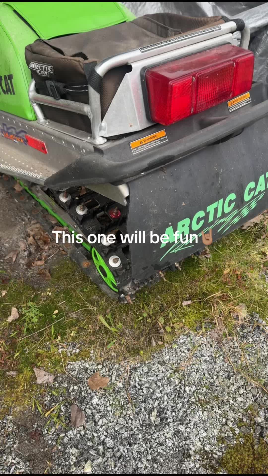 @Arcticcatmatt