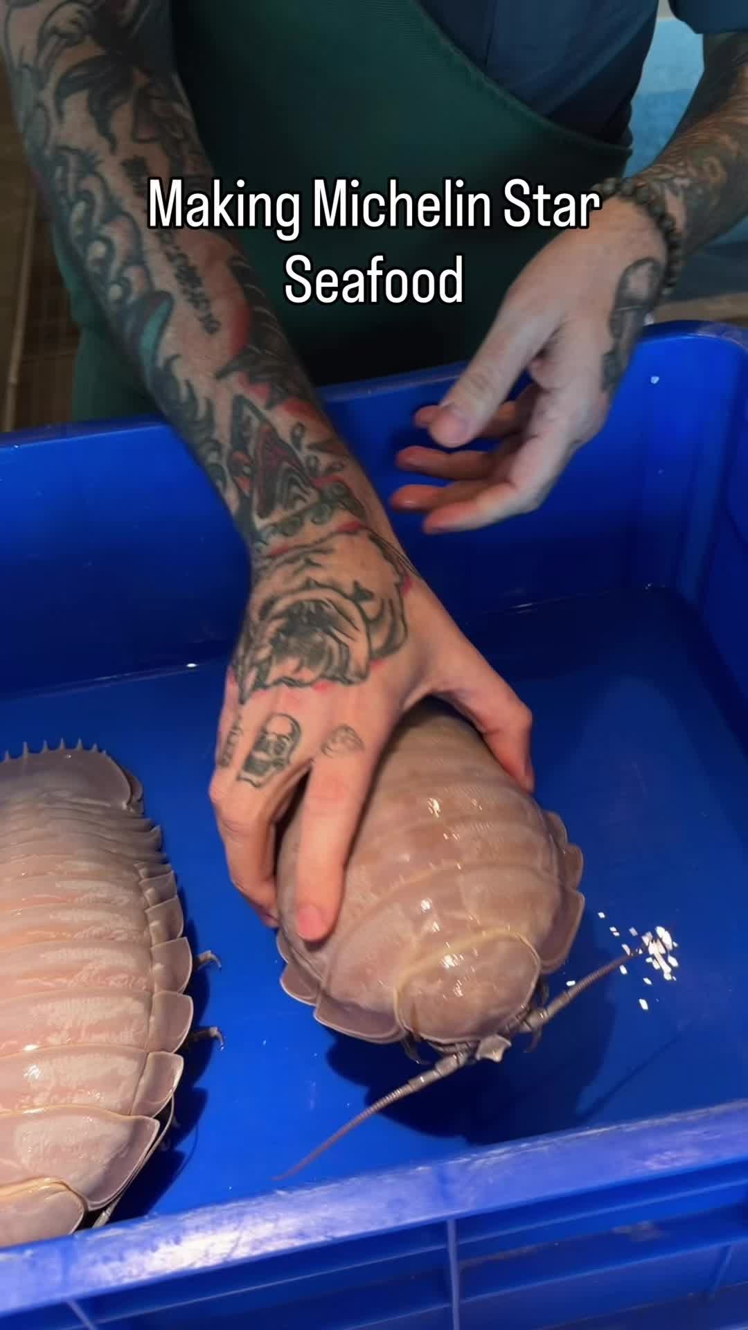 @Foodporn