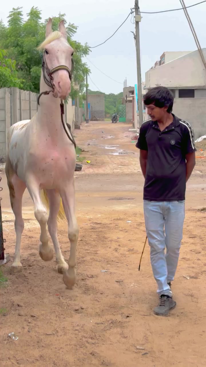 @@𝙂𝙍 𝙃𝙤𝙧𝙨𝙚 𝙁𝙖𝙧𝙢 🐴