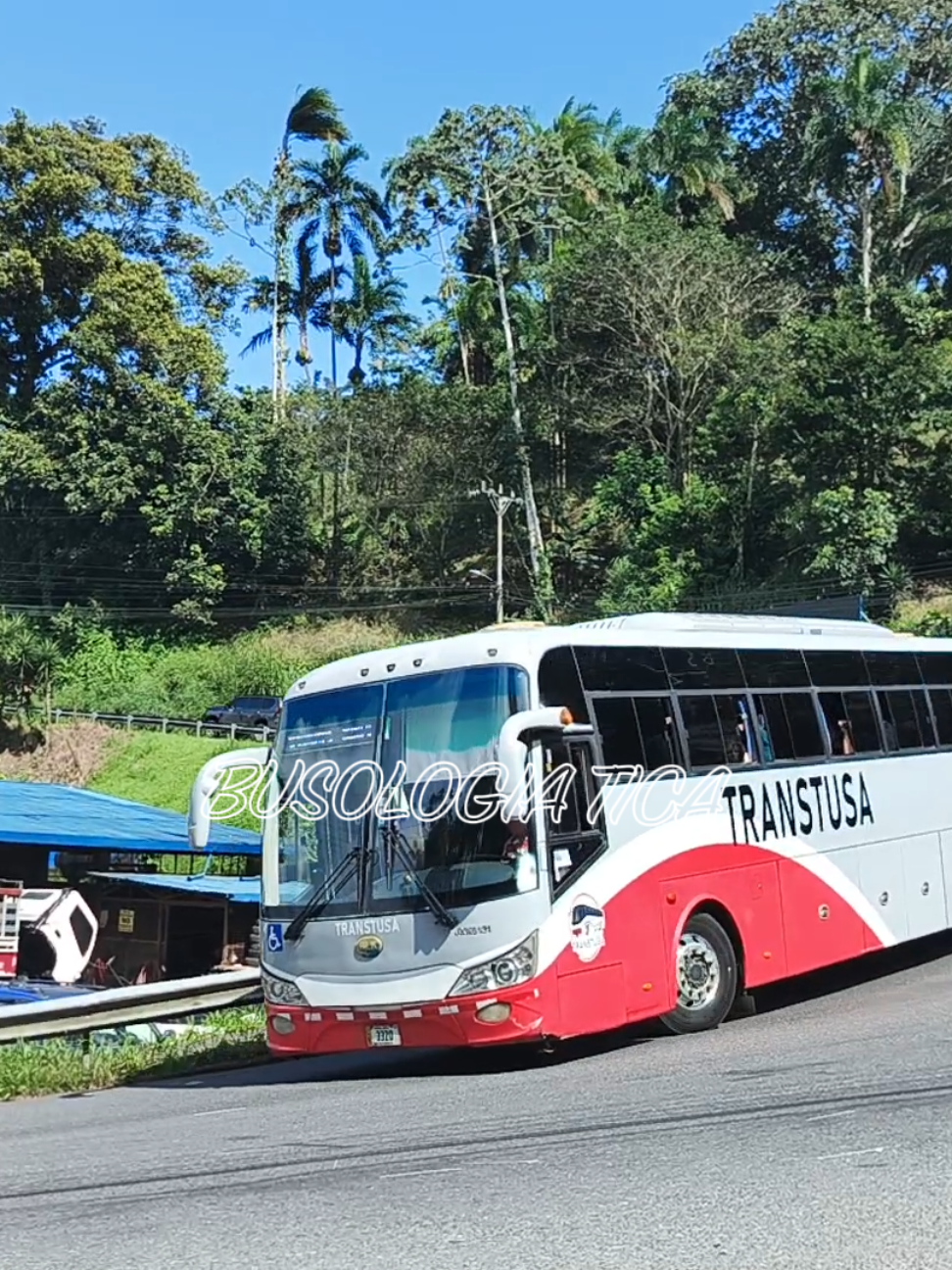 @Busologia tica 🇨🇷