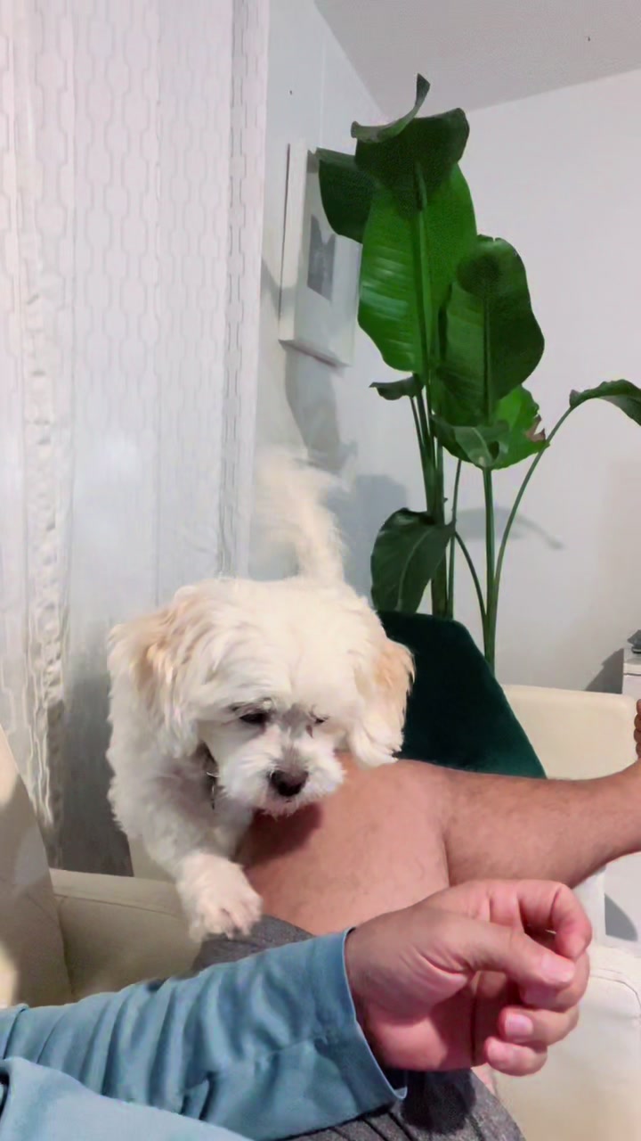 @AZUL🐶🥰