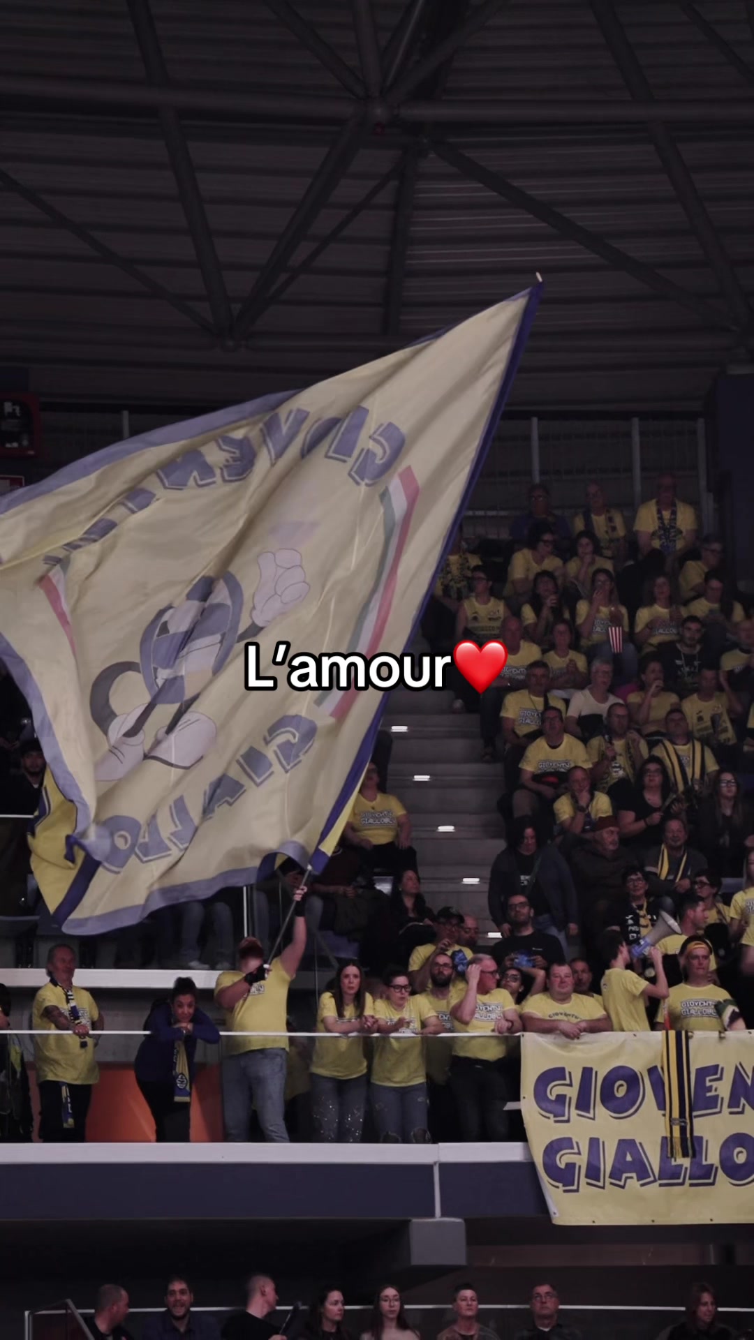@imocovolley