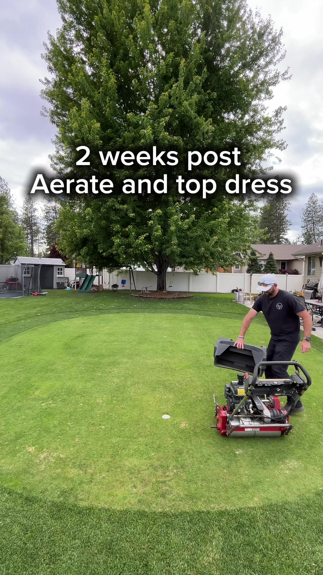 @Lawngest Yard