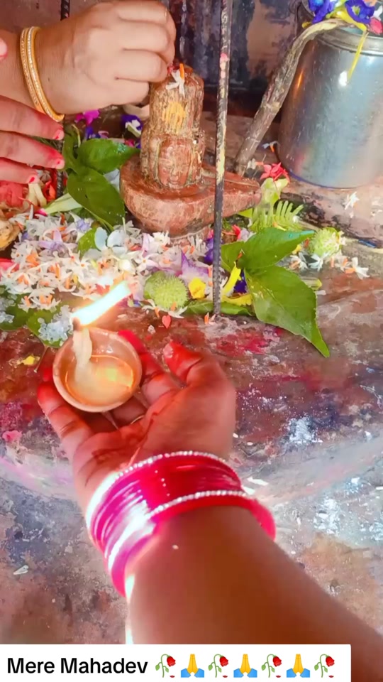 @SharbanSunitaRoyYadav861🤞❣