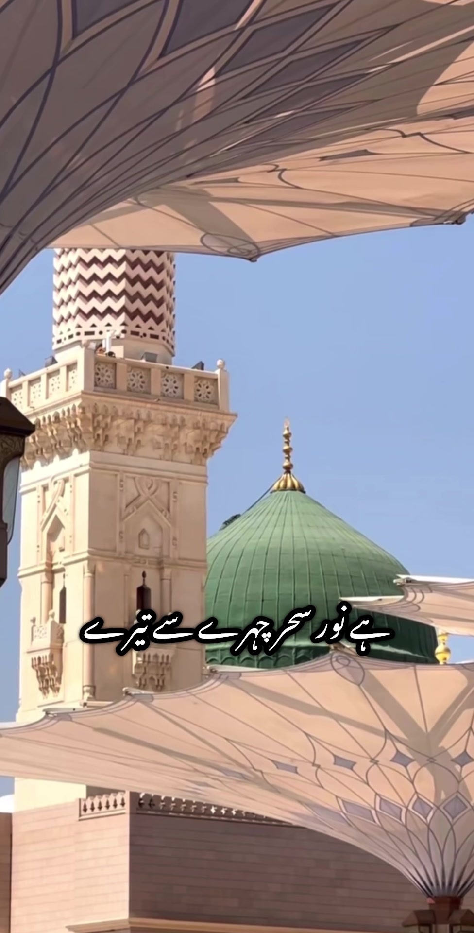 @جنابِ عالم