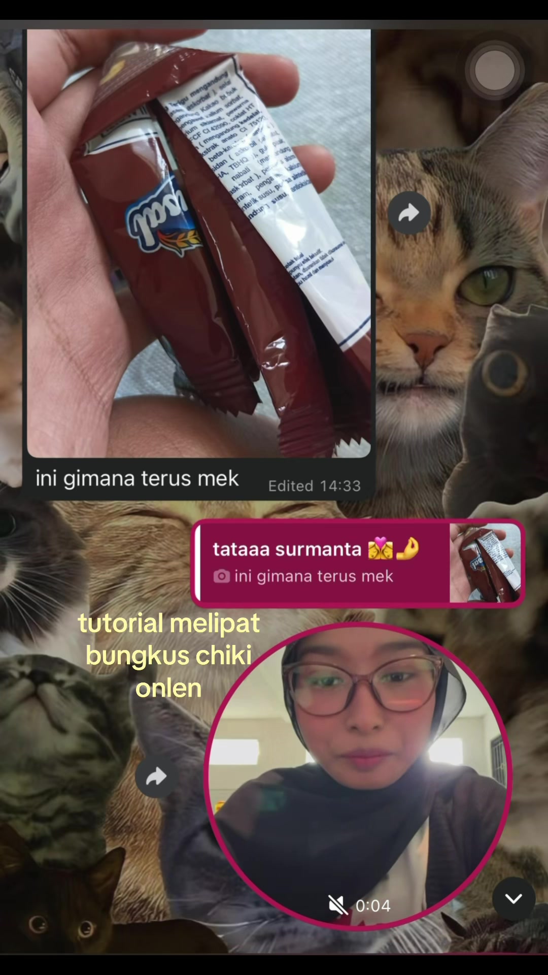 @vinssaaa