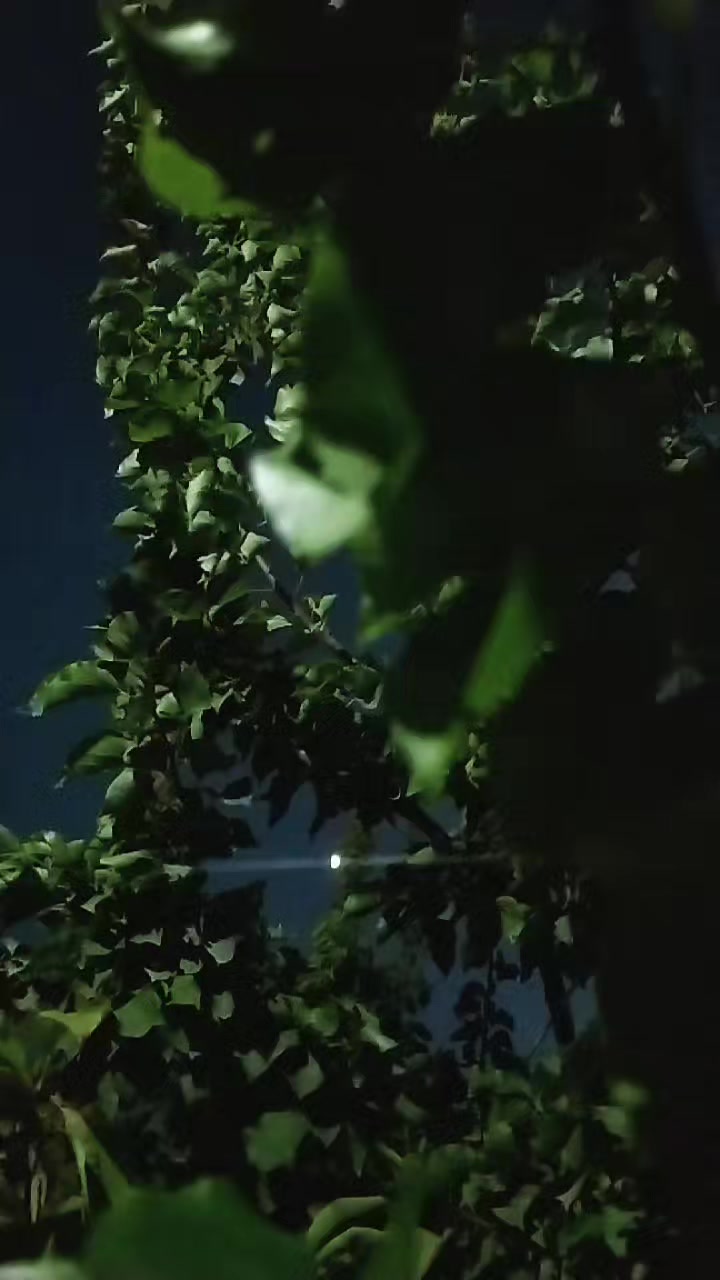 @أُنثى القمَر🎀🧸